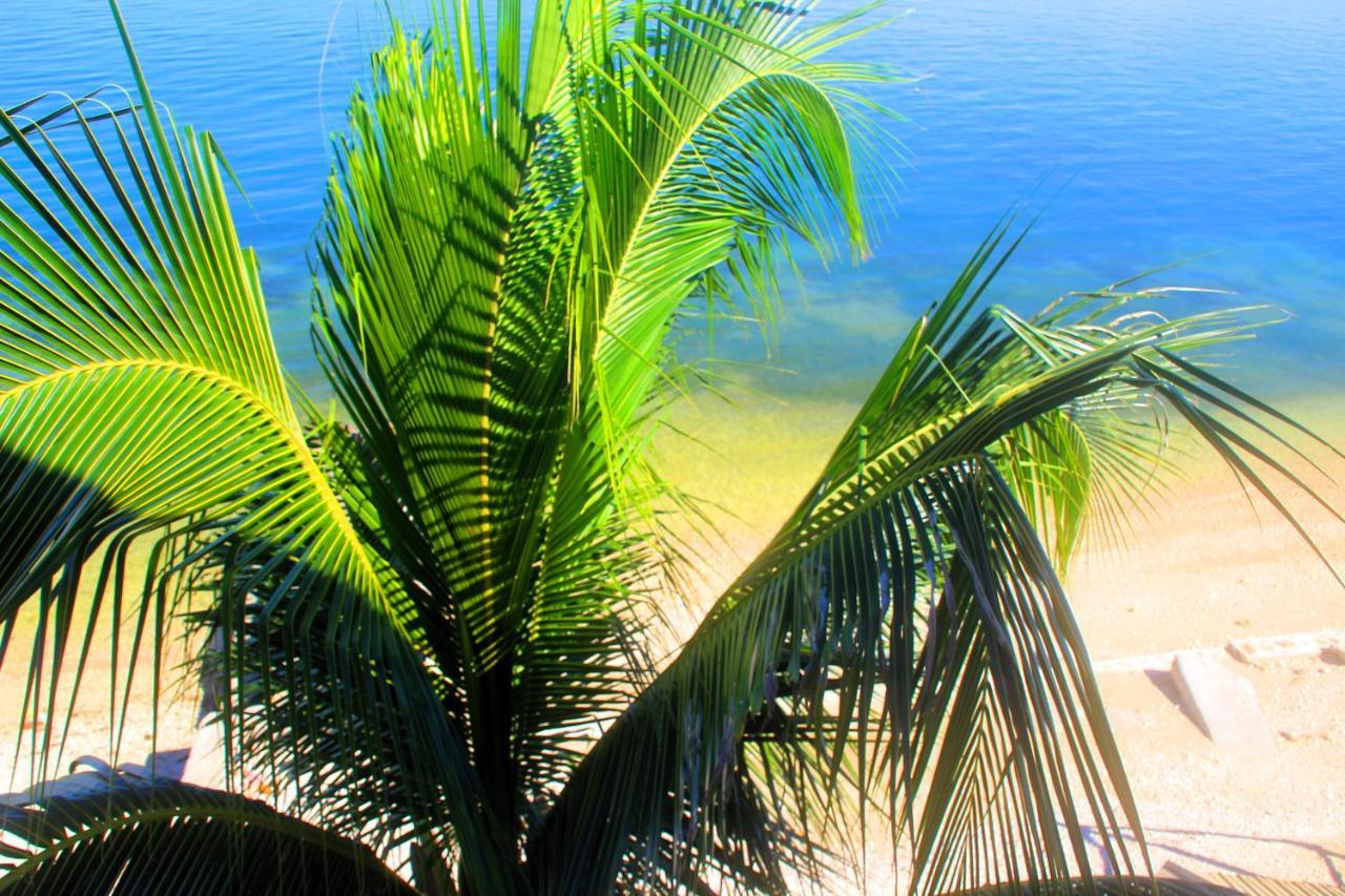 Bay Bar And Restaurant 3* Oslob