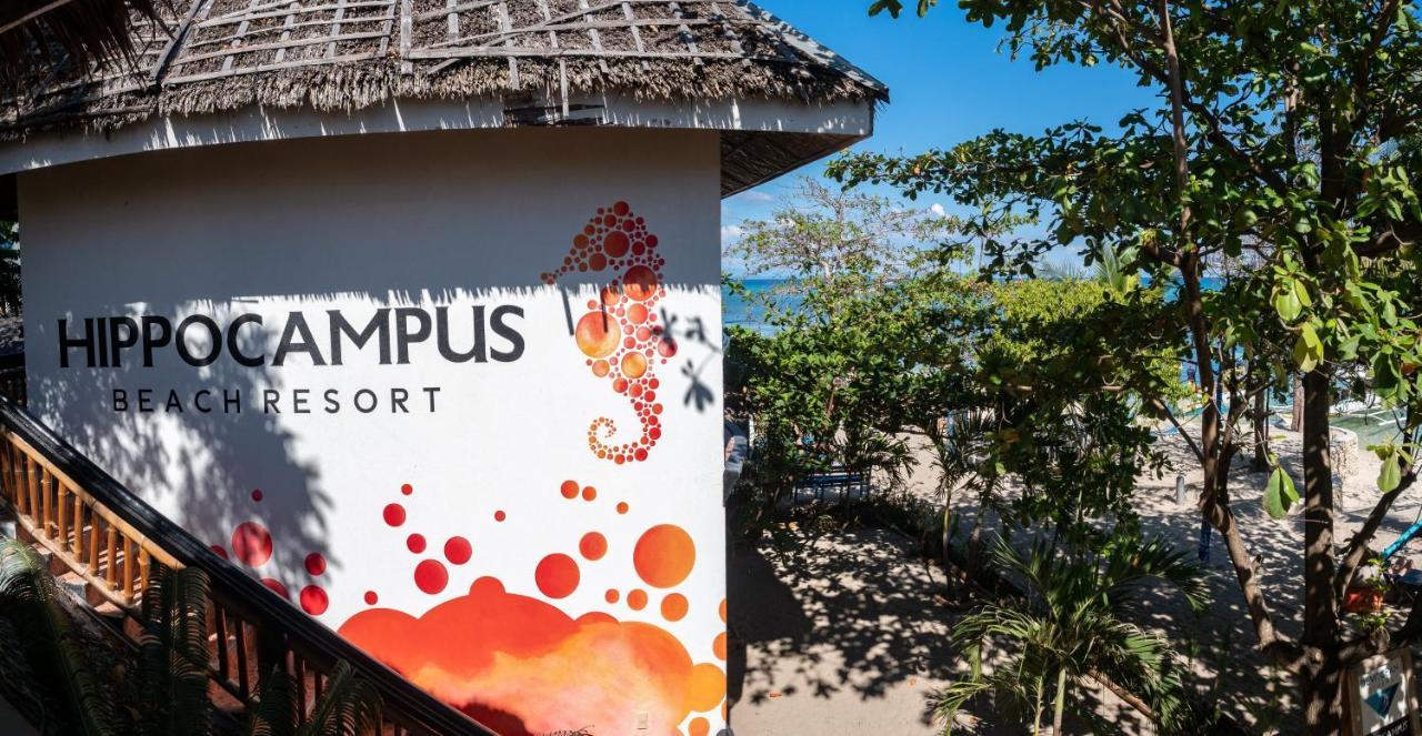Hippocampus Resort