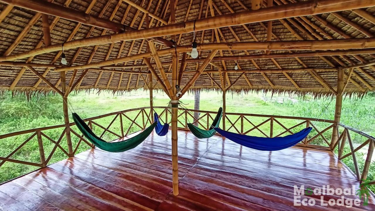 Eco Moalboal