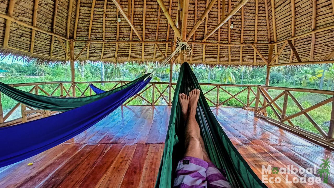 Eco