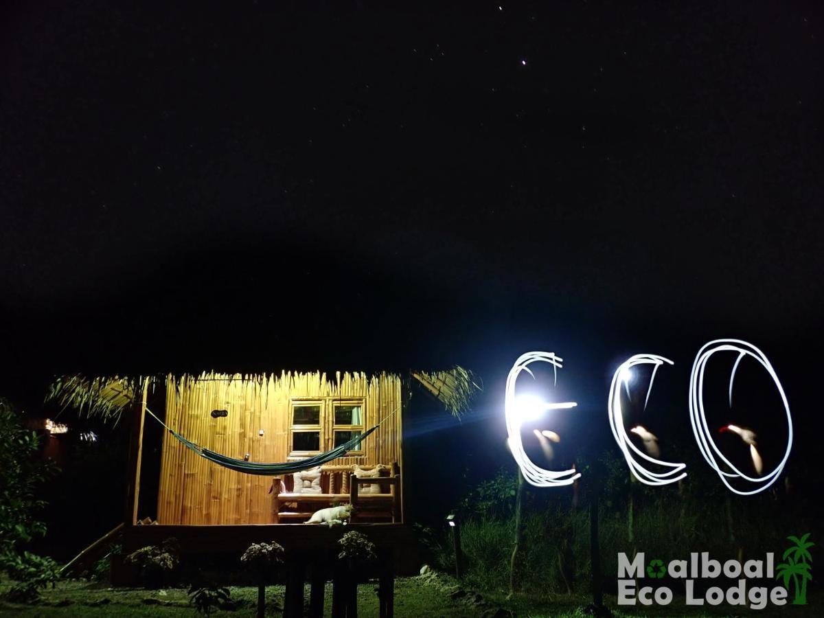 Eco