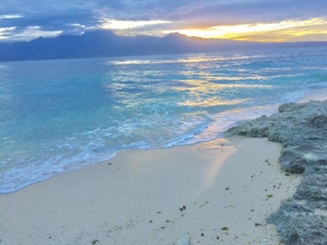 Pebble