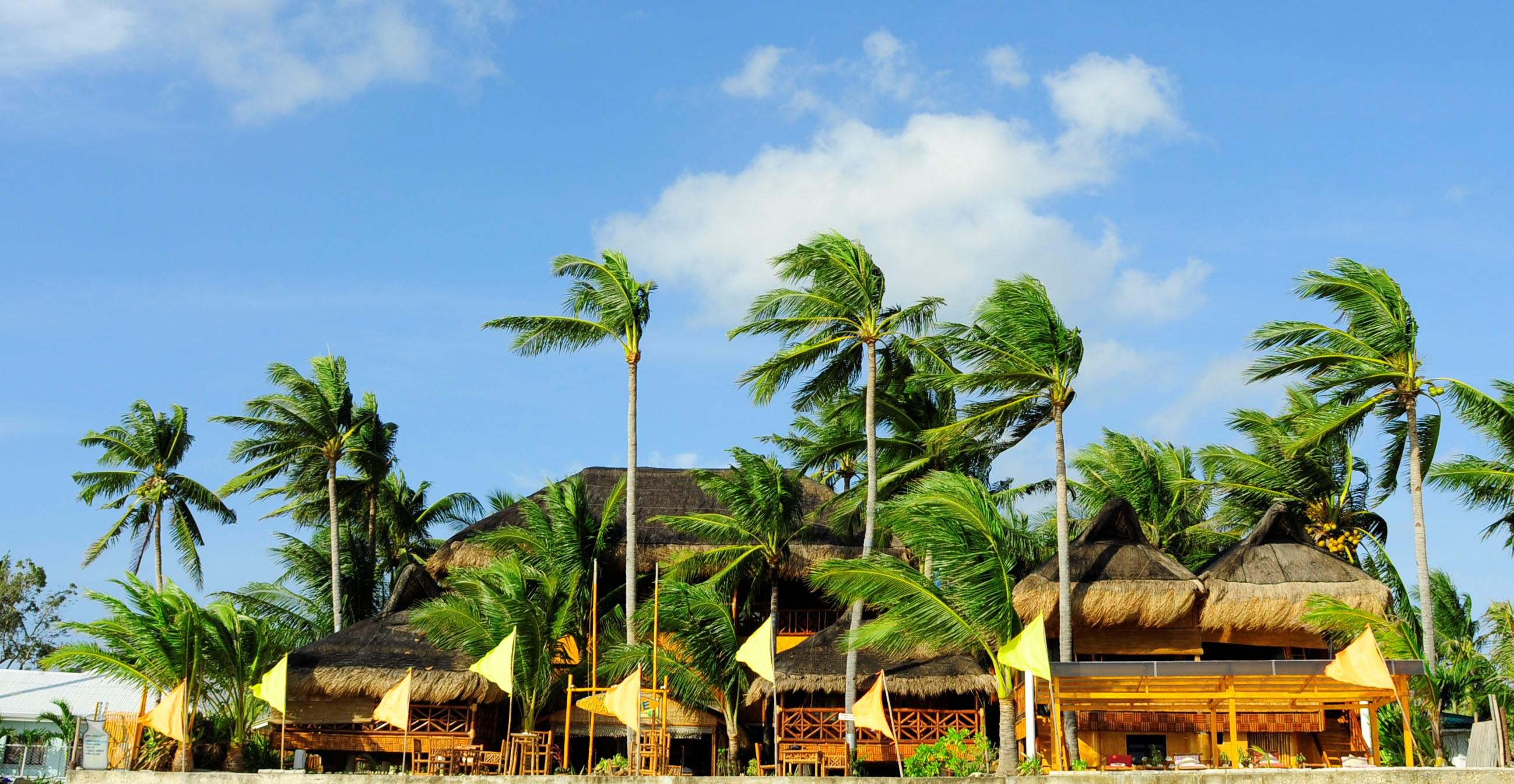 The Coral Blue Oriental And Resort
