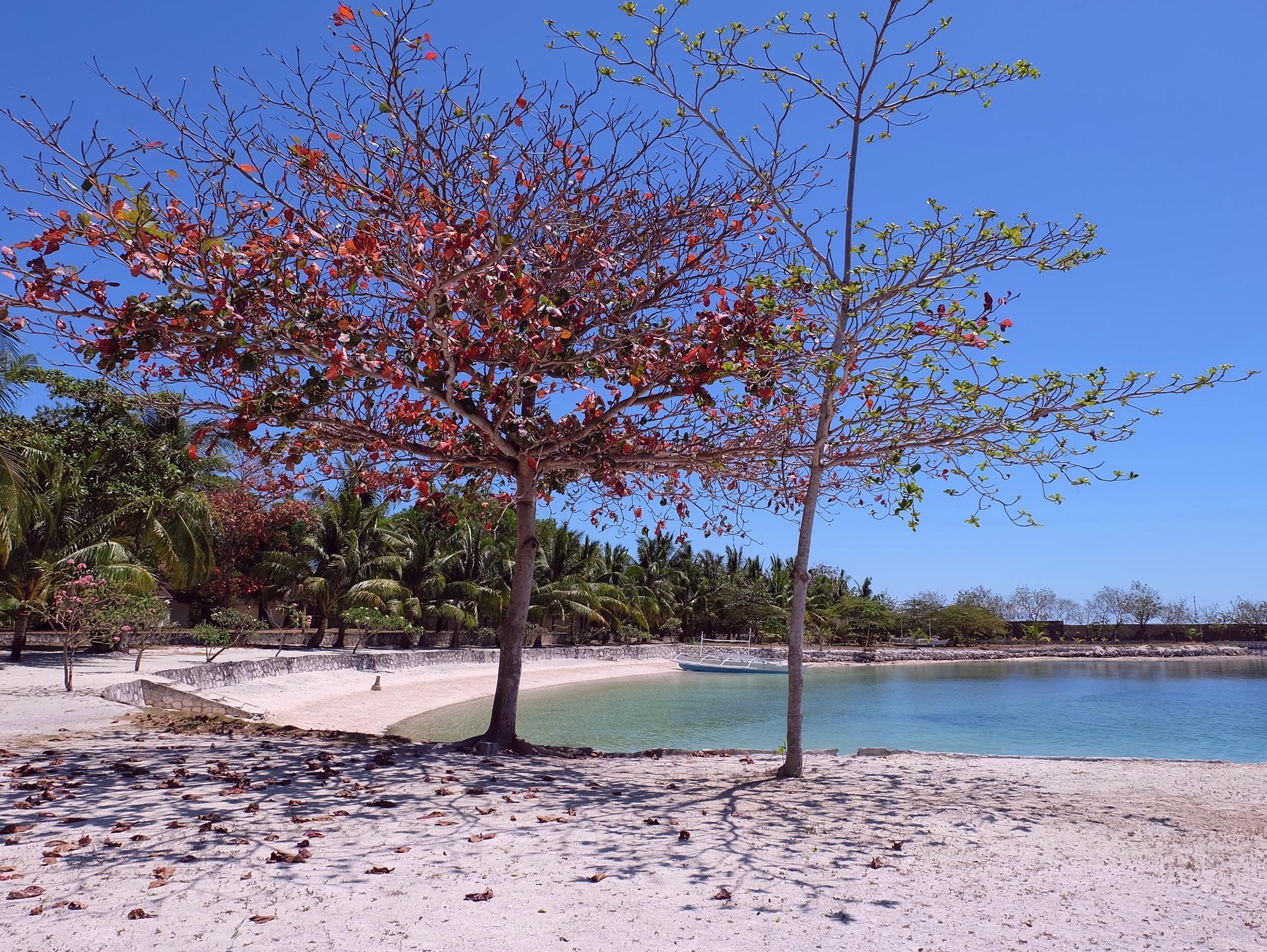 Cordova Reef Village 4*