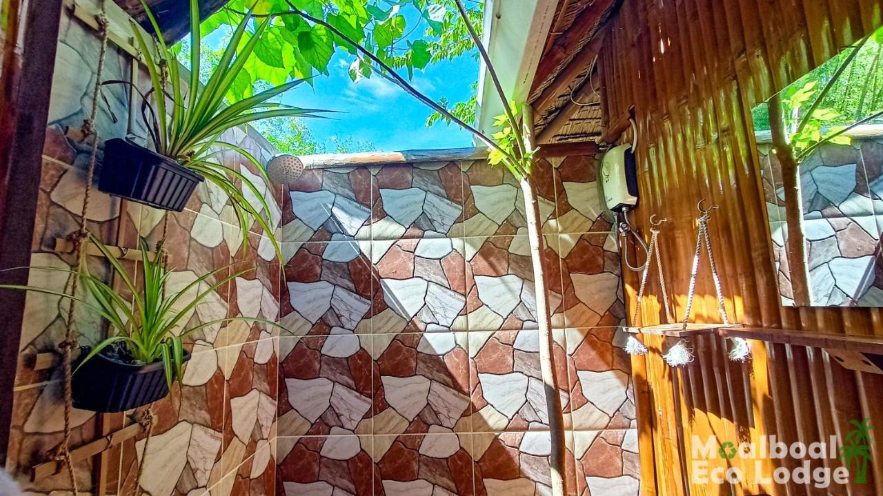 Eco * Moalboal