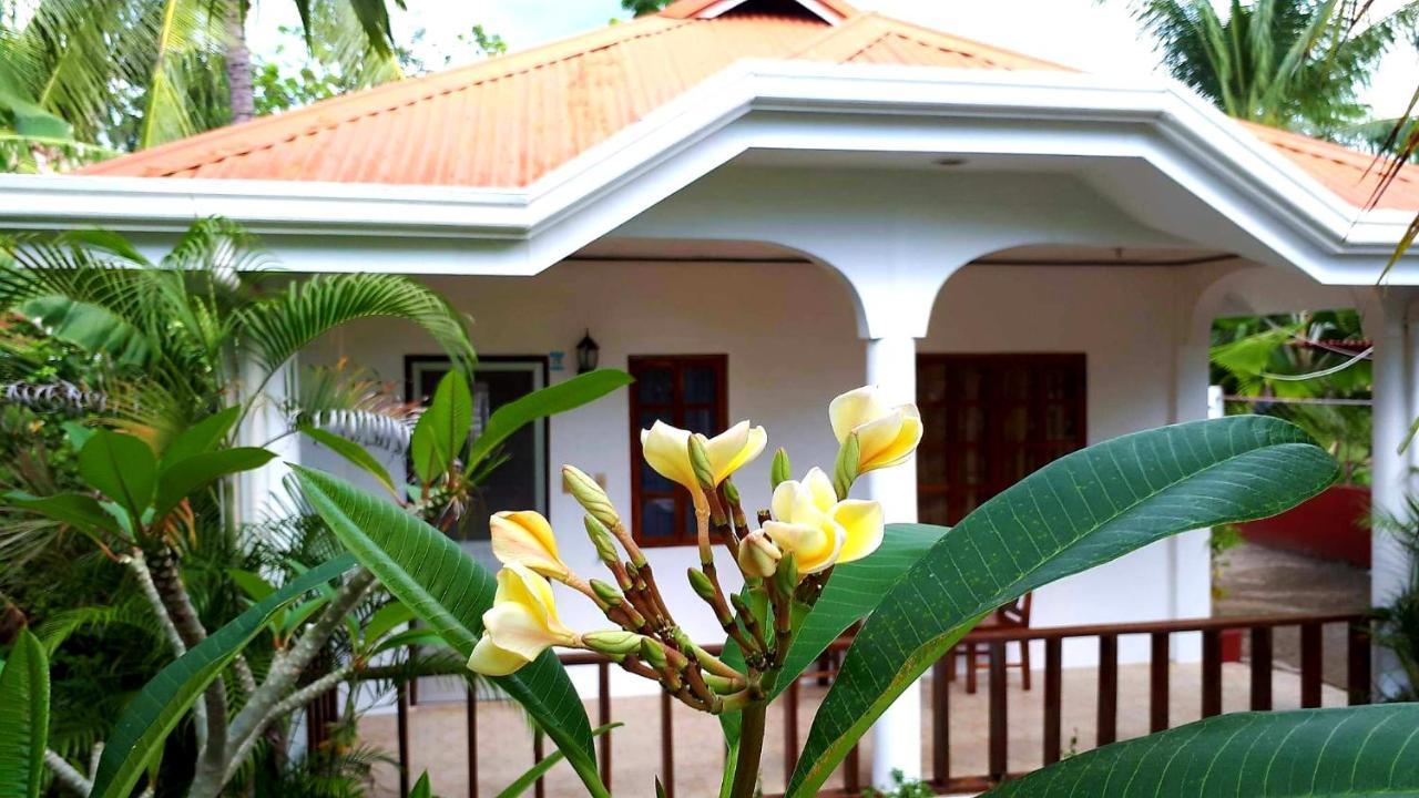 Palmera Palma Private 1-br In Moalboal