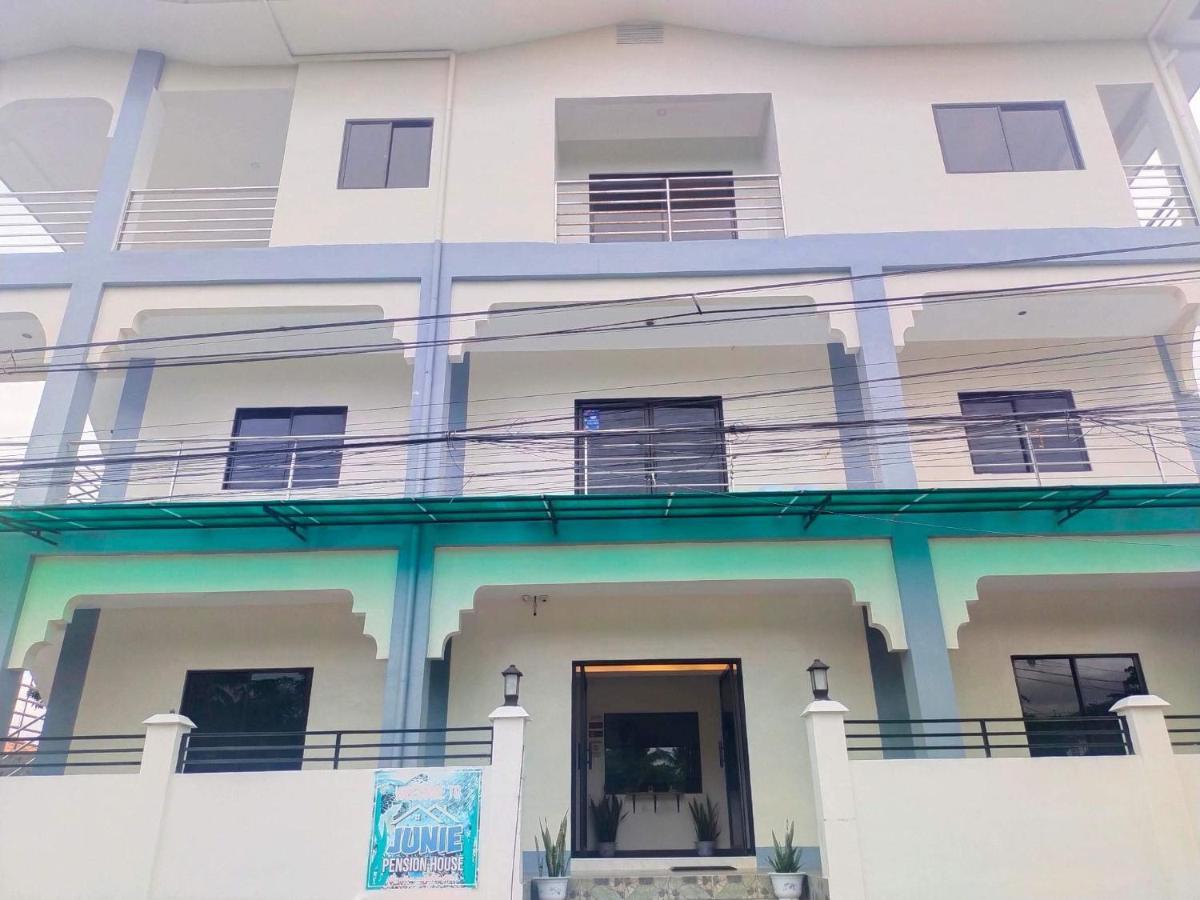 Albergue Junie House *
