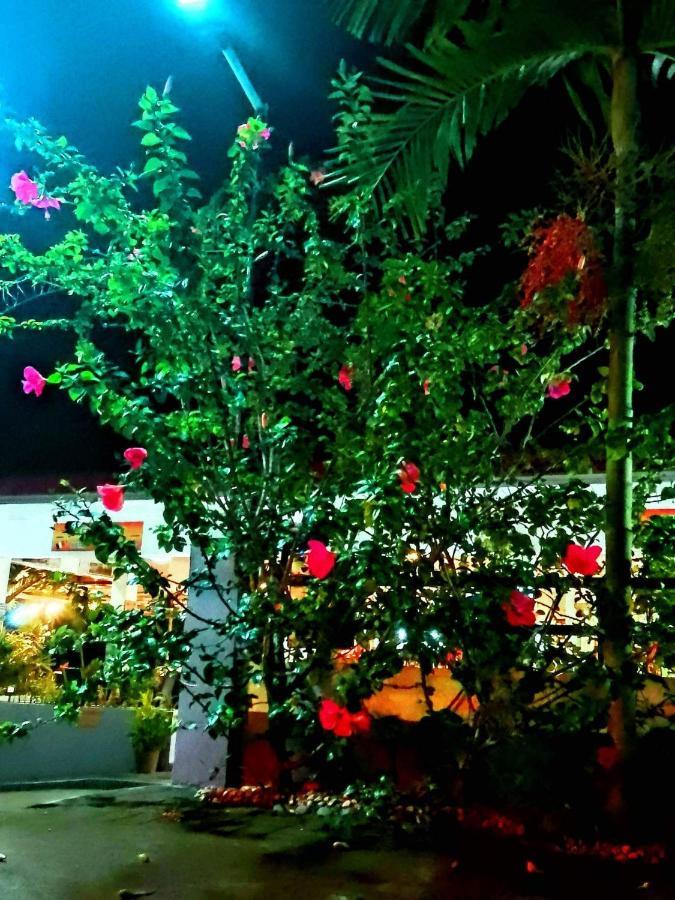 Garden Village Moalboal