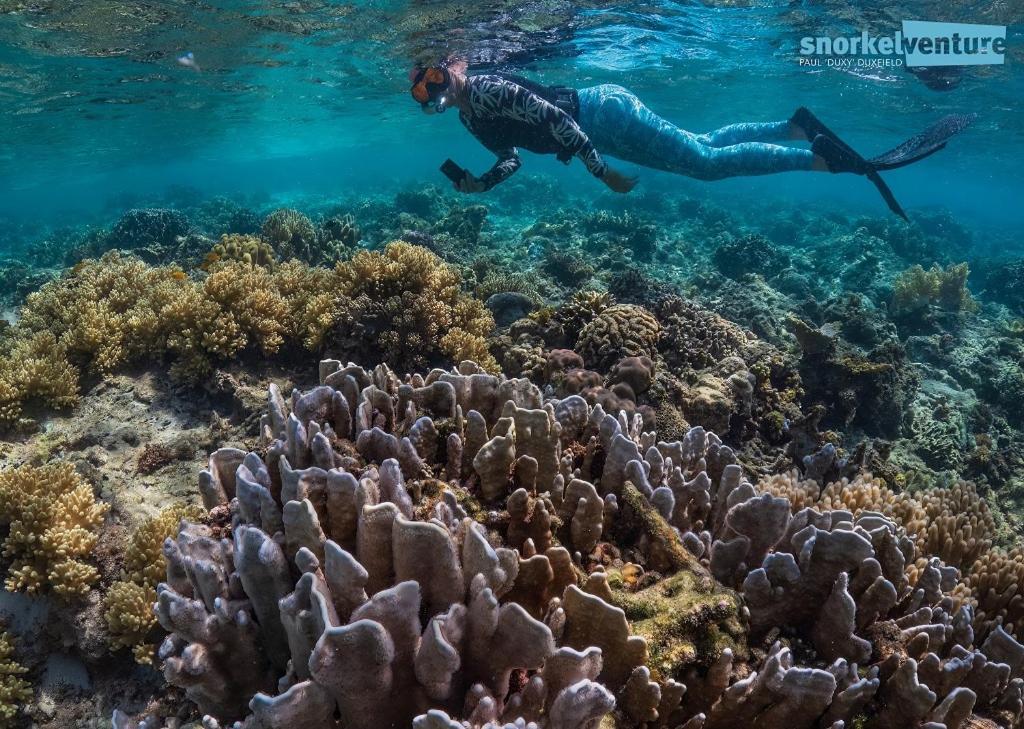 Resort Magic Island Dive