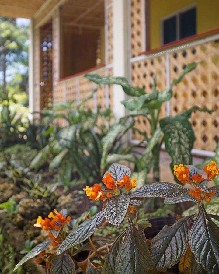 Guest house Camotes Eden *