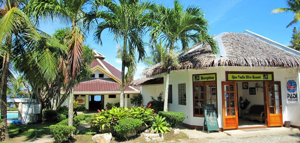 Quo Vadis Dive Resort Moalboal