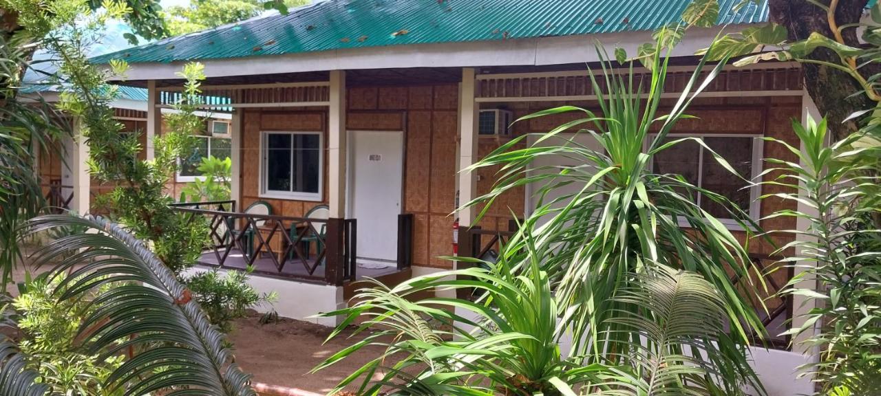 The Shark's Tail Dive Resort Logon