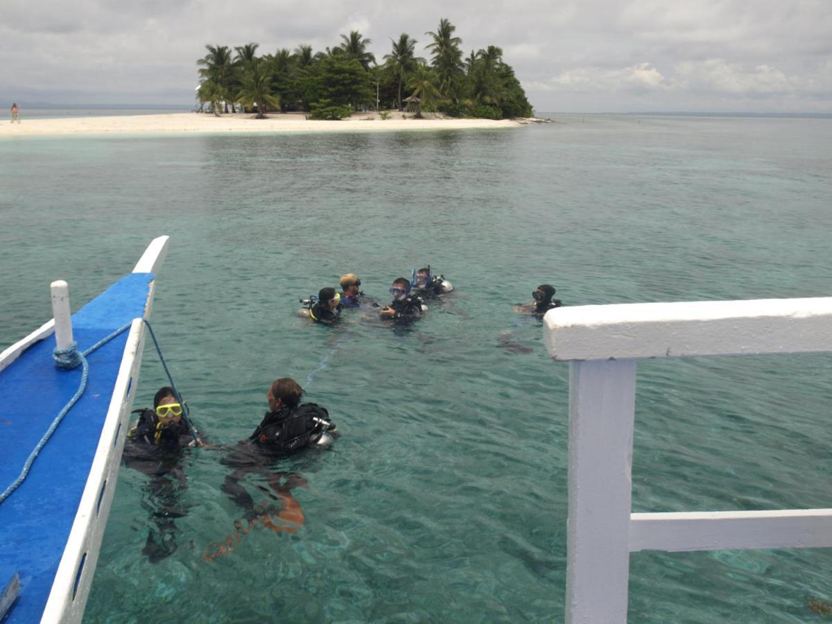 The Shark's Tail Dive