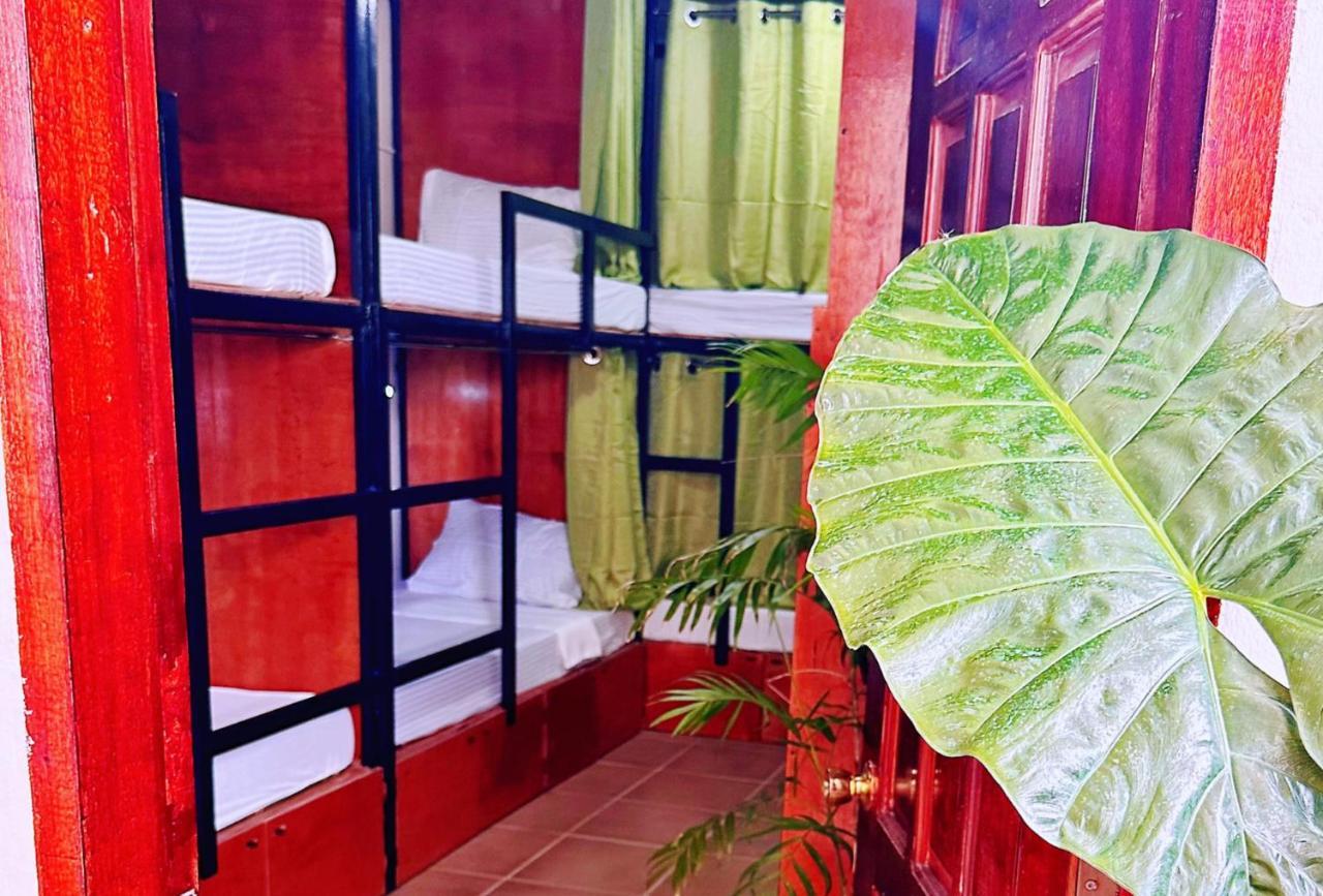 Moana House Hostel