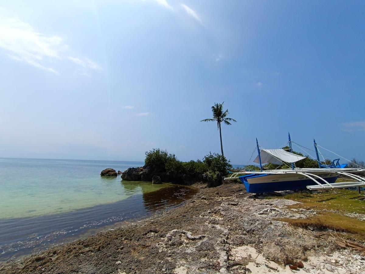 The Wild Orchid - * Moalboal