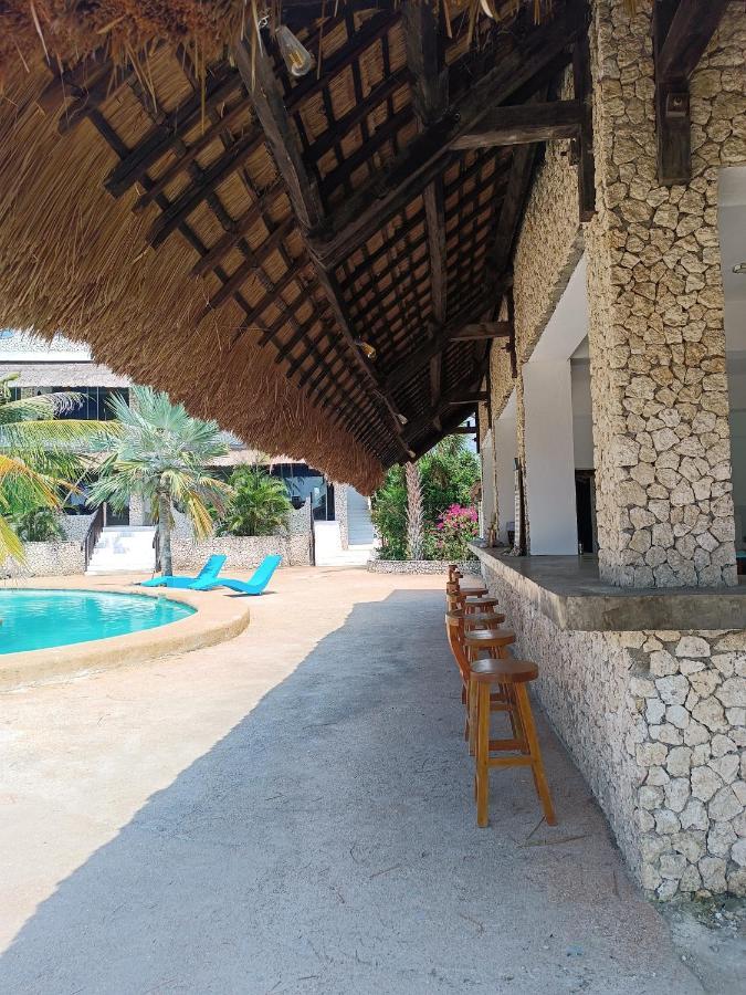 The Wild Orchid - * Moalboal