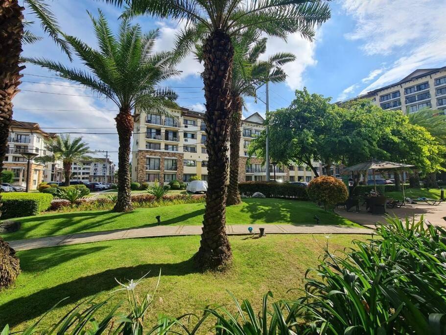 One Oasis Fully Furnished With Balcony