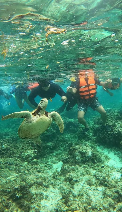 Guest house Indino's Sardines Run And Sea Turtle 1 Minute Walking Distance