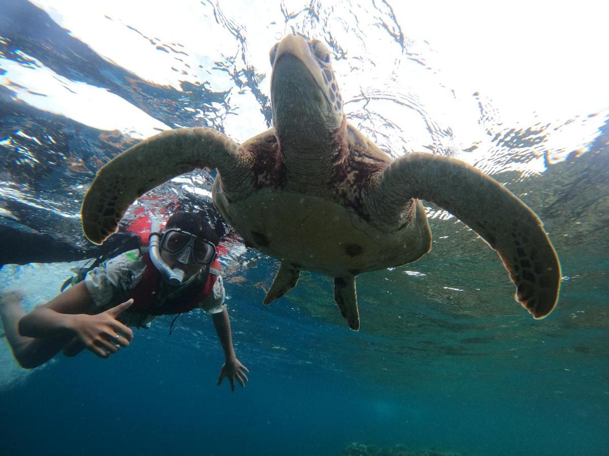 Guest house Indino's Sardines Run And Sea Turtle 1 Minute Walking Distance *