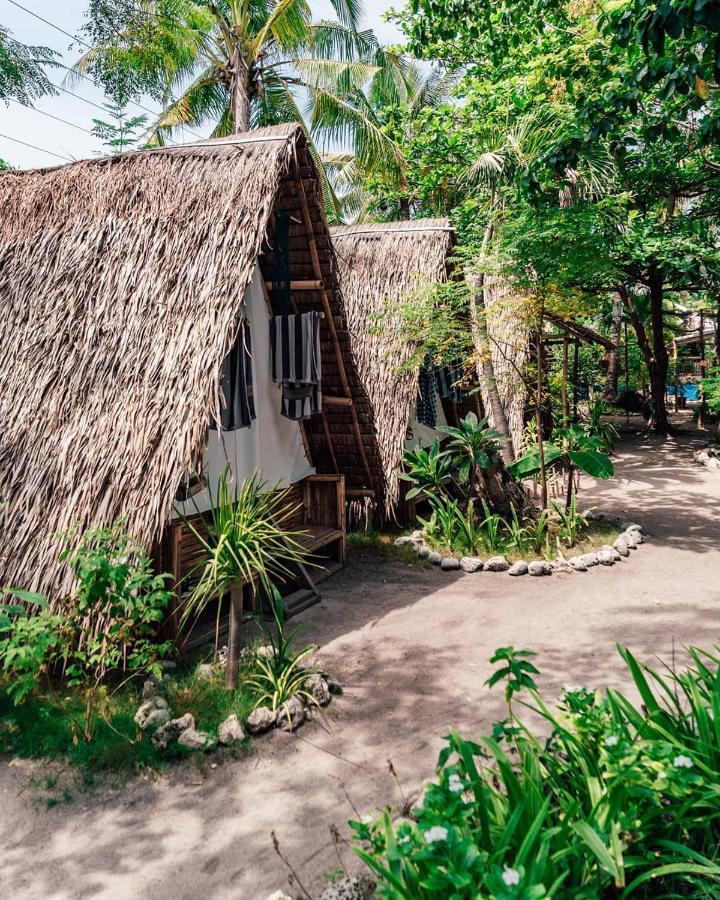 Georgia's Neverland Hostel Logon