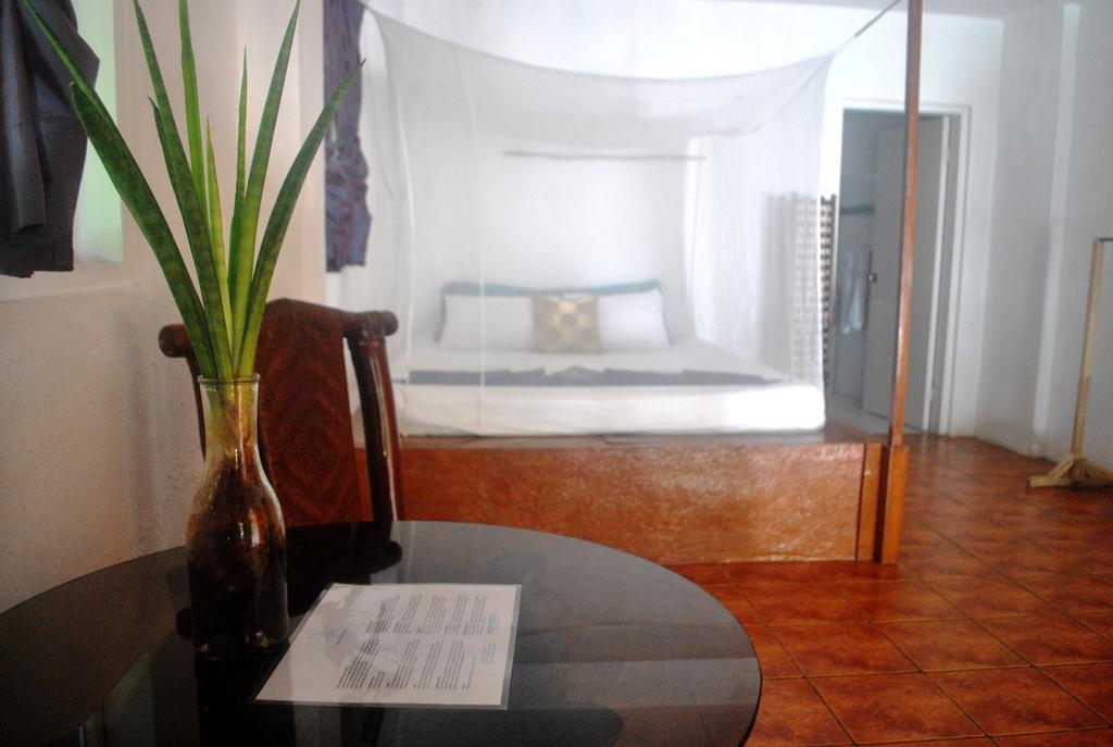 The Blue Orchid 4*