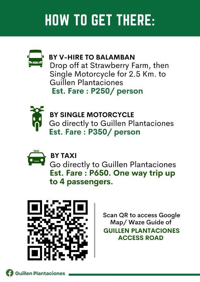 Guillen Plantaciones Farm