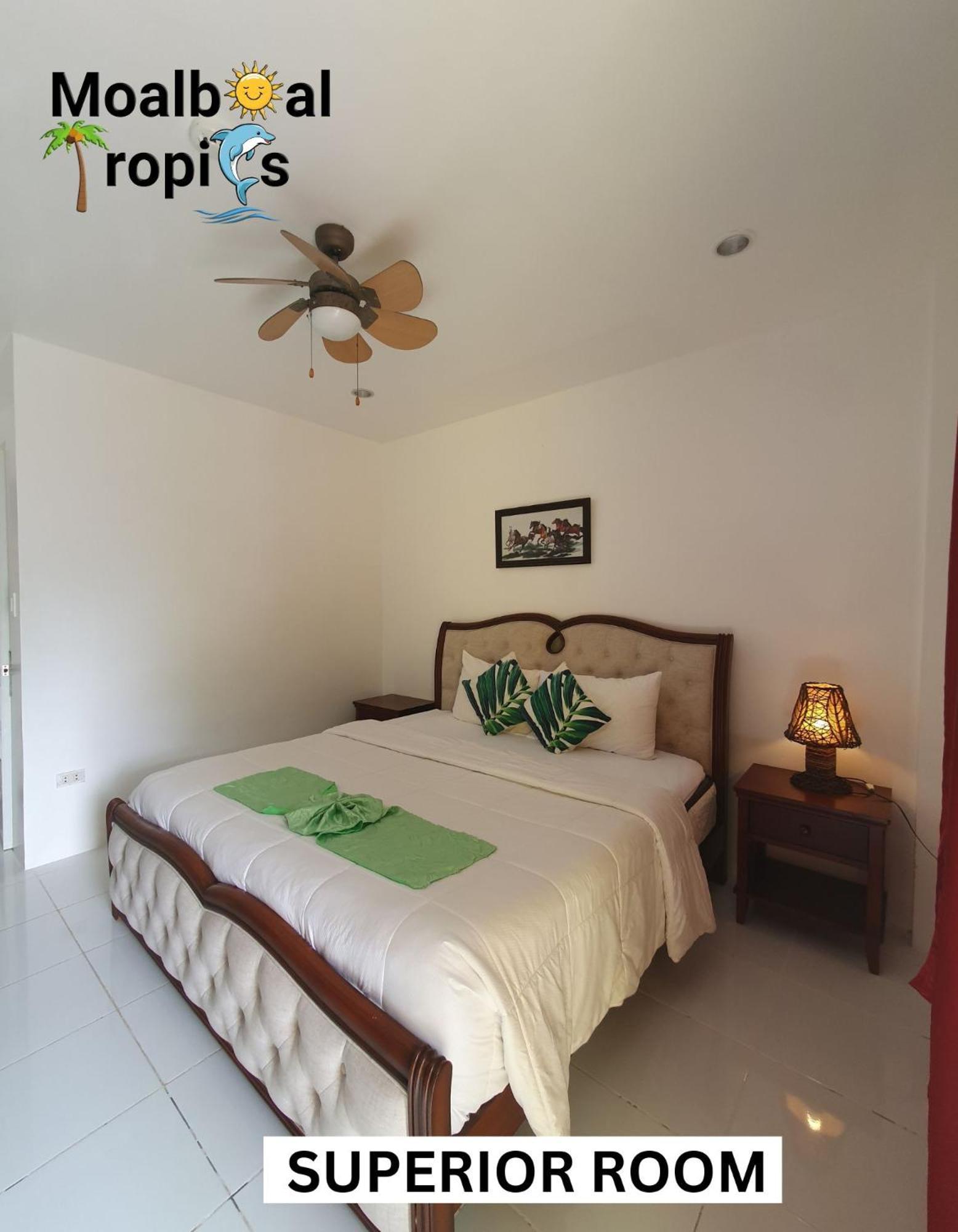 Hotel Tropics Moalboal