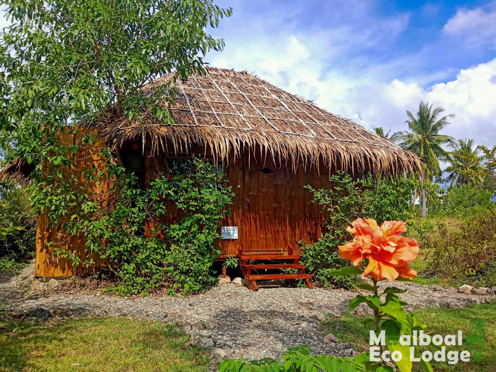 Eco * Moalboal