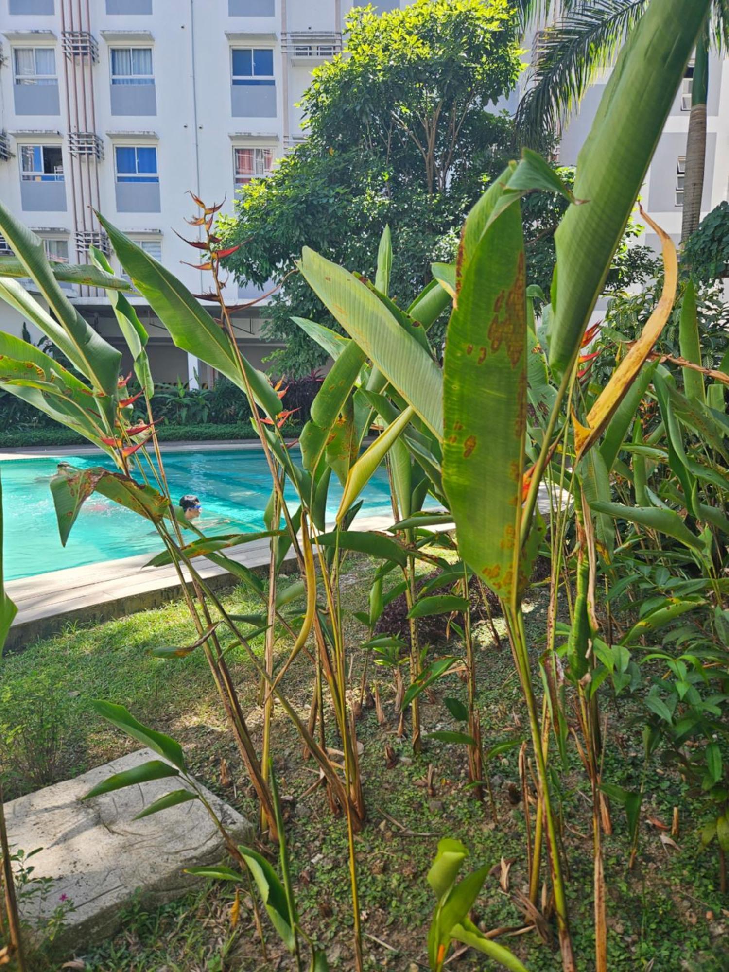 2-bedroom Boutique - Newly Renovated! Apartamento *
