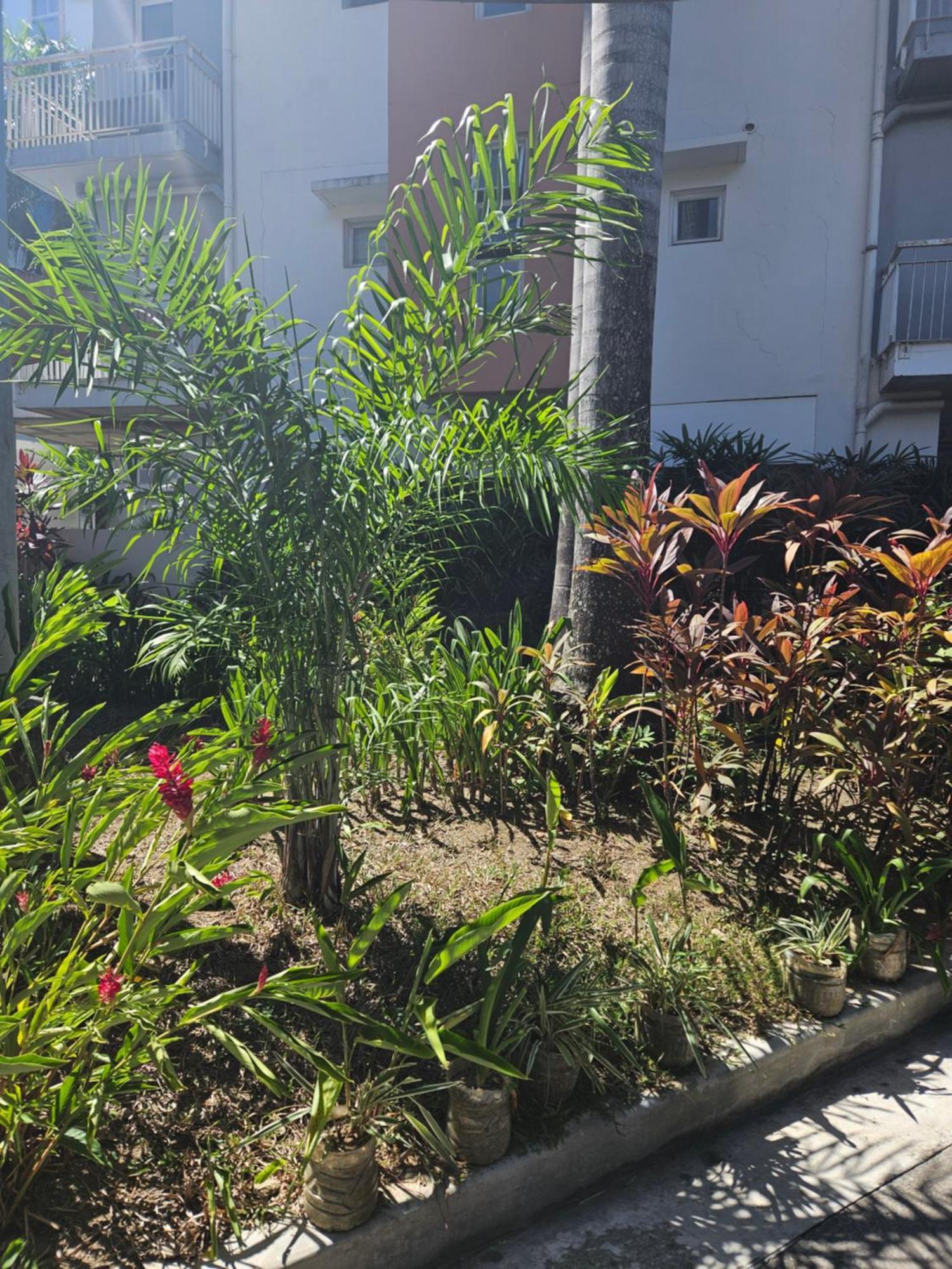2-bedroom Boutique - Newly Renovated! Cebu