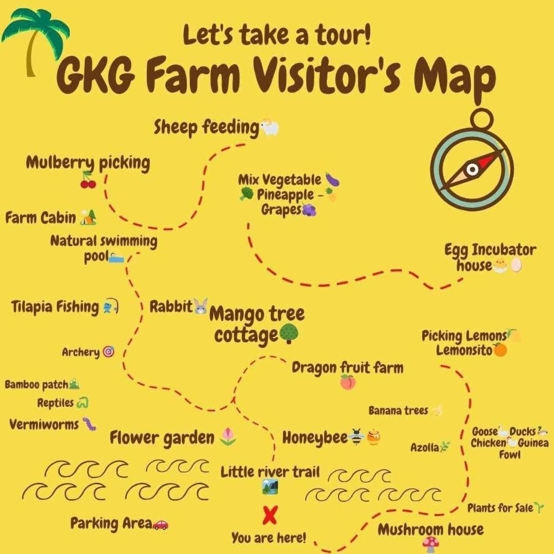 Gkg Farm Cebu Ph