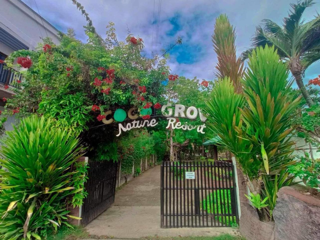 Coco Grove Nature *