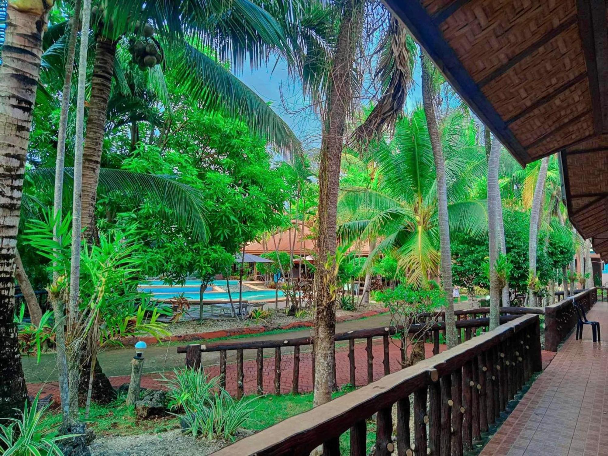 Resort Coco Grove Nature Himensulan