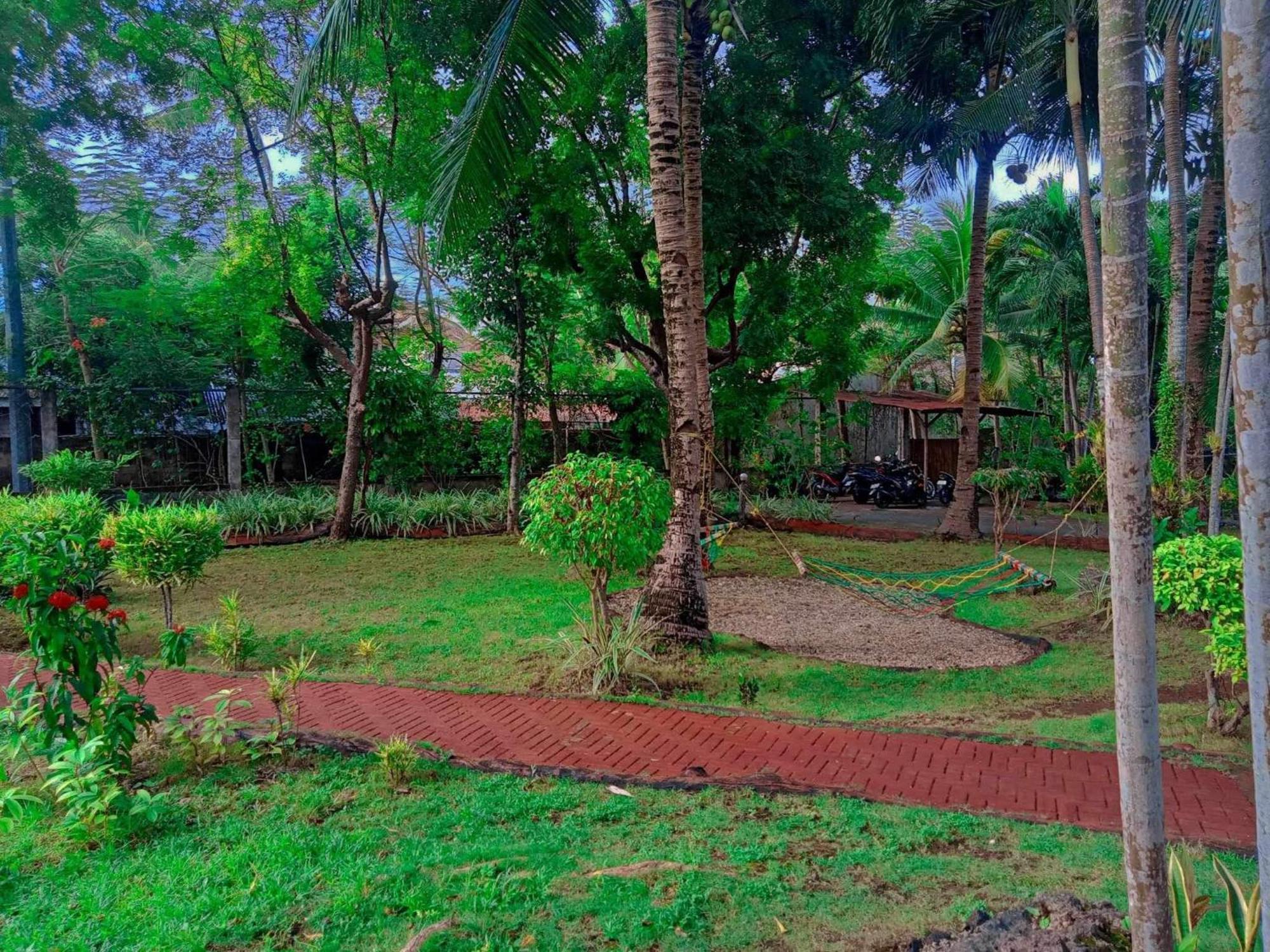 Coco Grove Nature