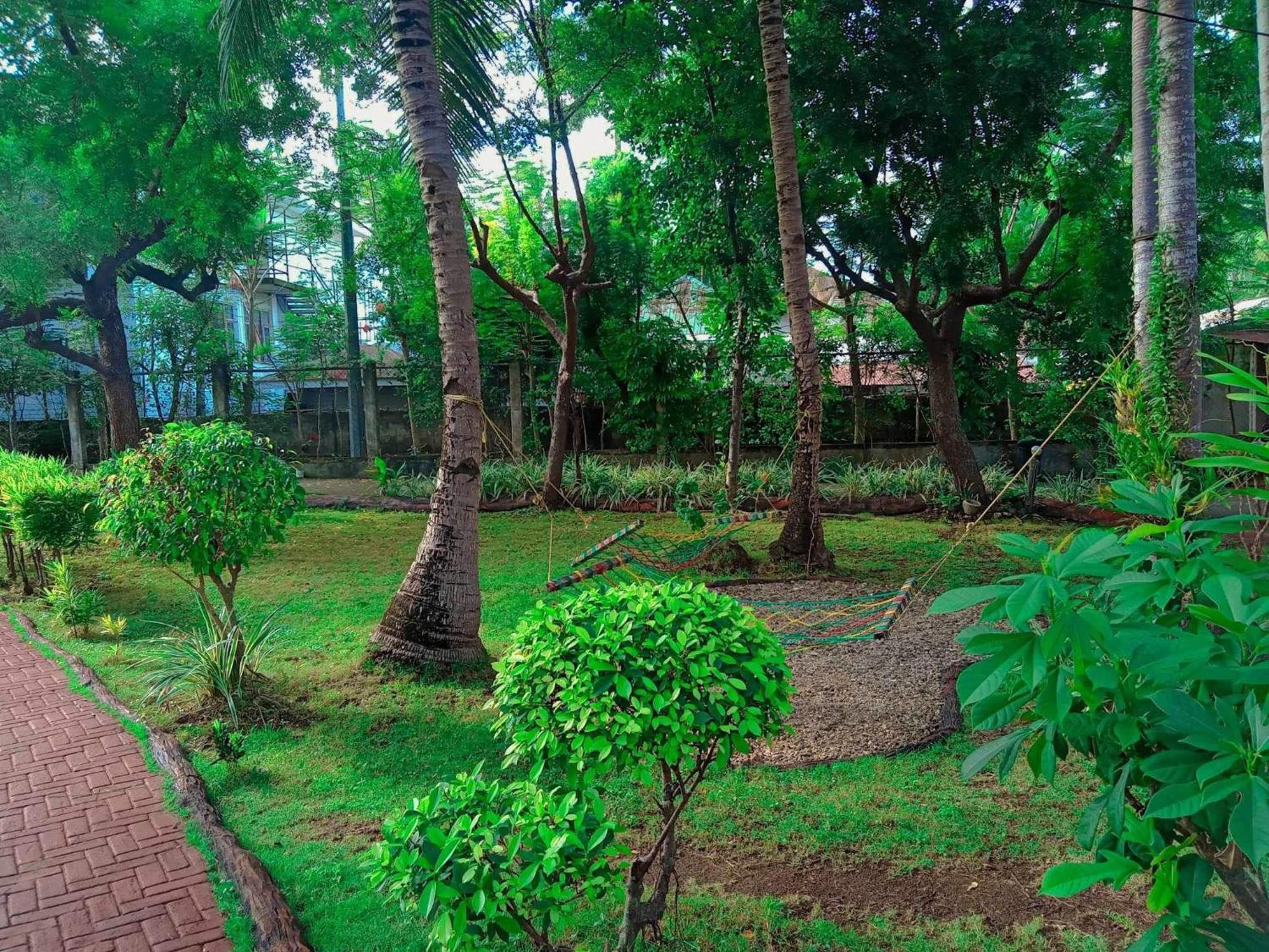 Resort Coco Grove Nature Himensulan