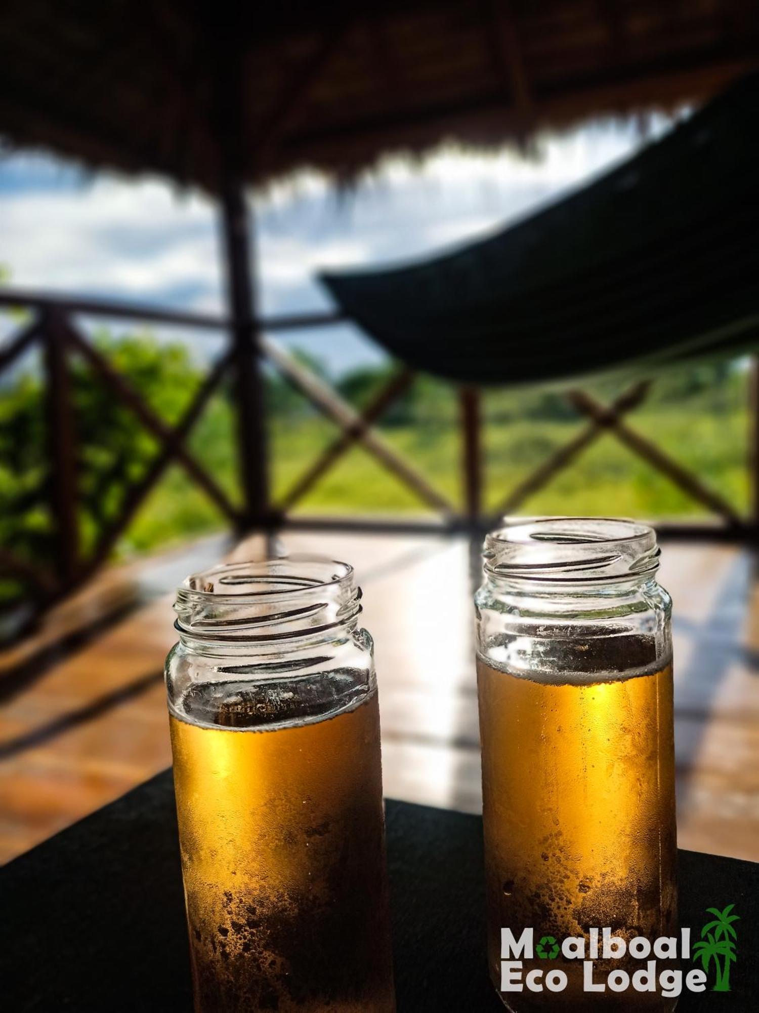 Lodge Eco