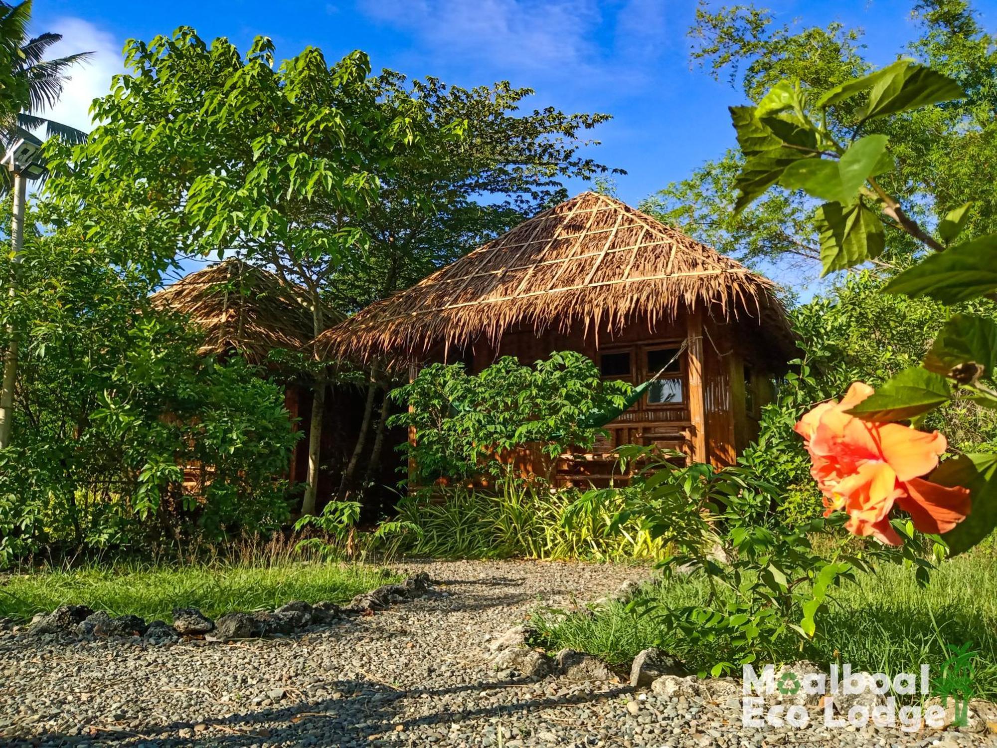Lodge Eco *