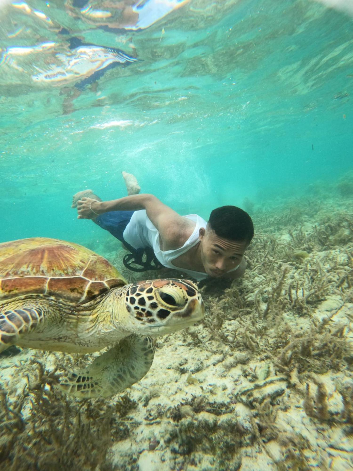 Indino's Sardines Run And Sea Turtle 1 Minute Walking Distance Guest house