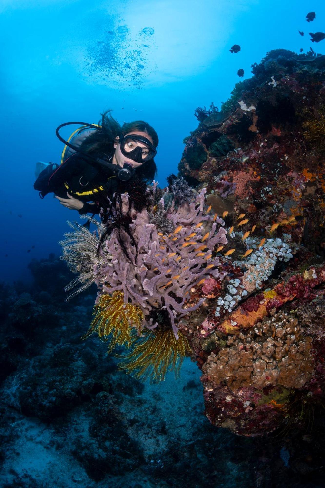 Resort Emoha Dive 2*