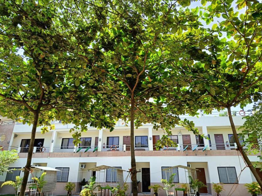 Allen Marie Shiphaus Inn