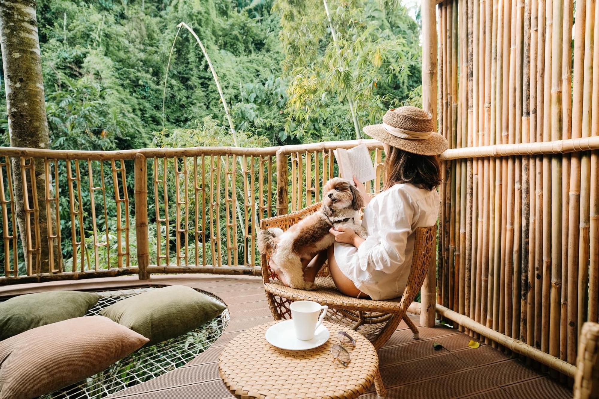 Lodge Treehouse De Valentine Balamban