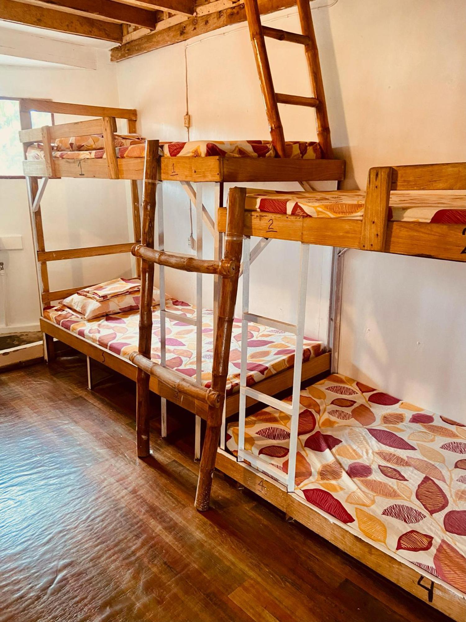 Hostel Babu Backpackers *