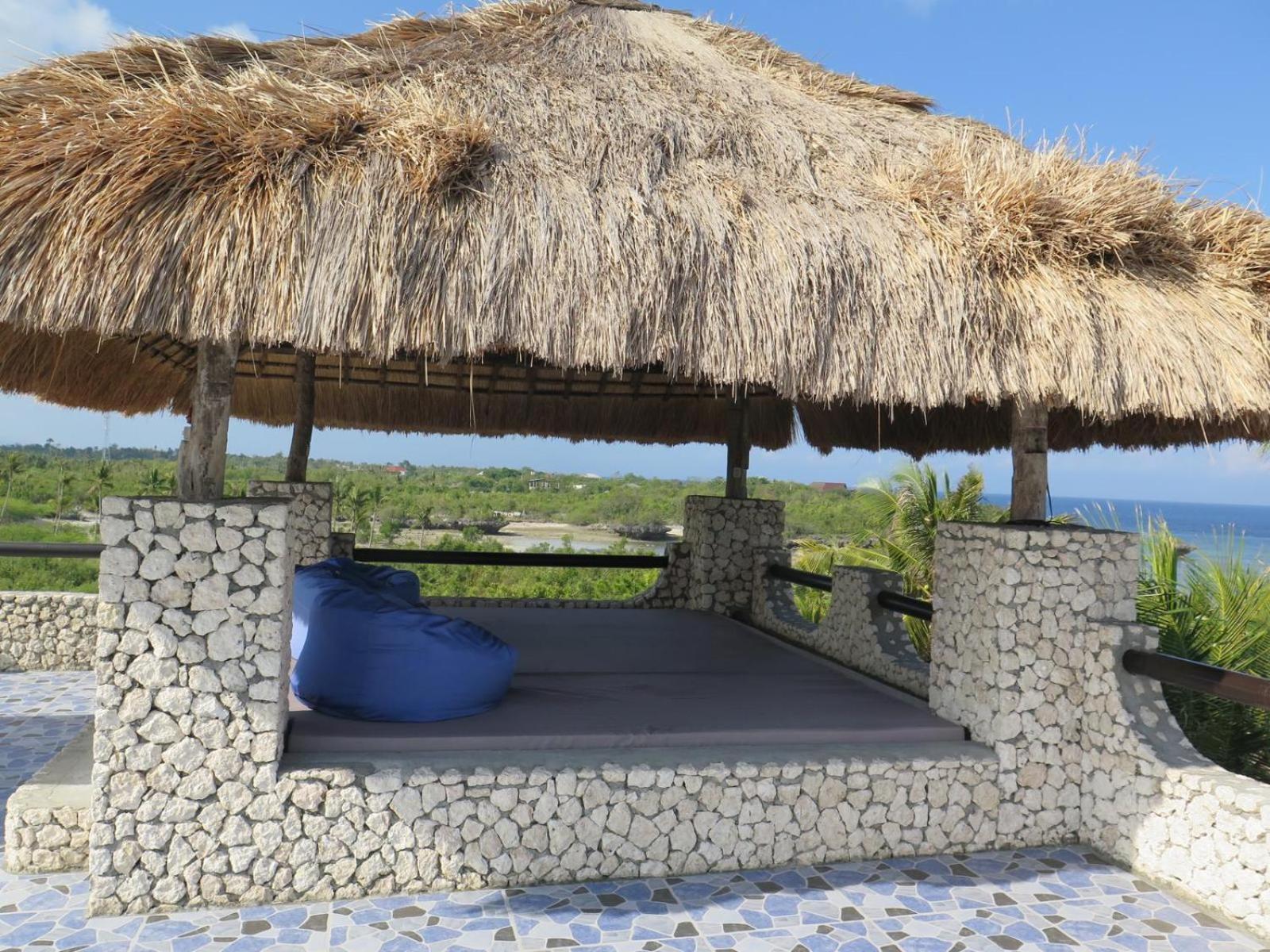 The Wild Orchid - * Moalboal