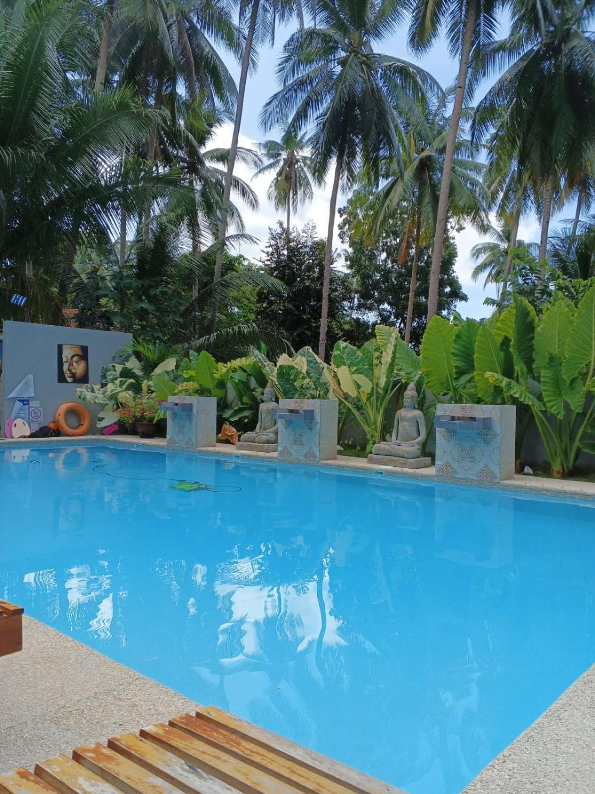 House Banaba Tree * Samboan
