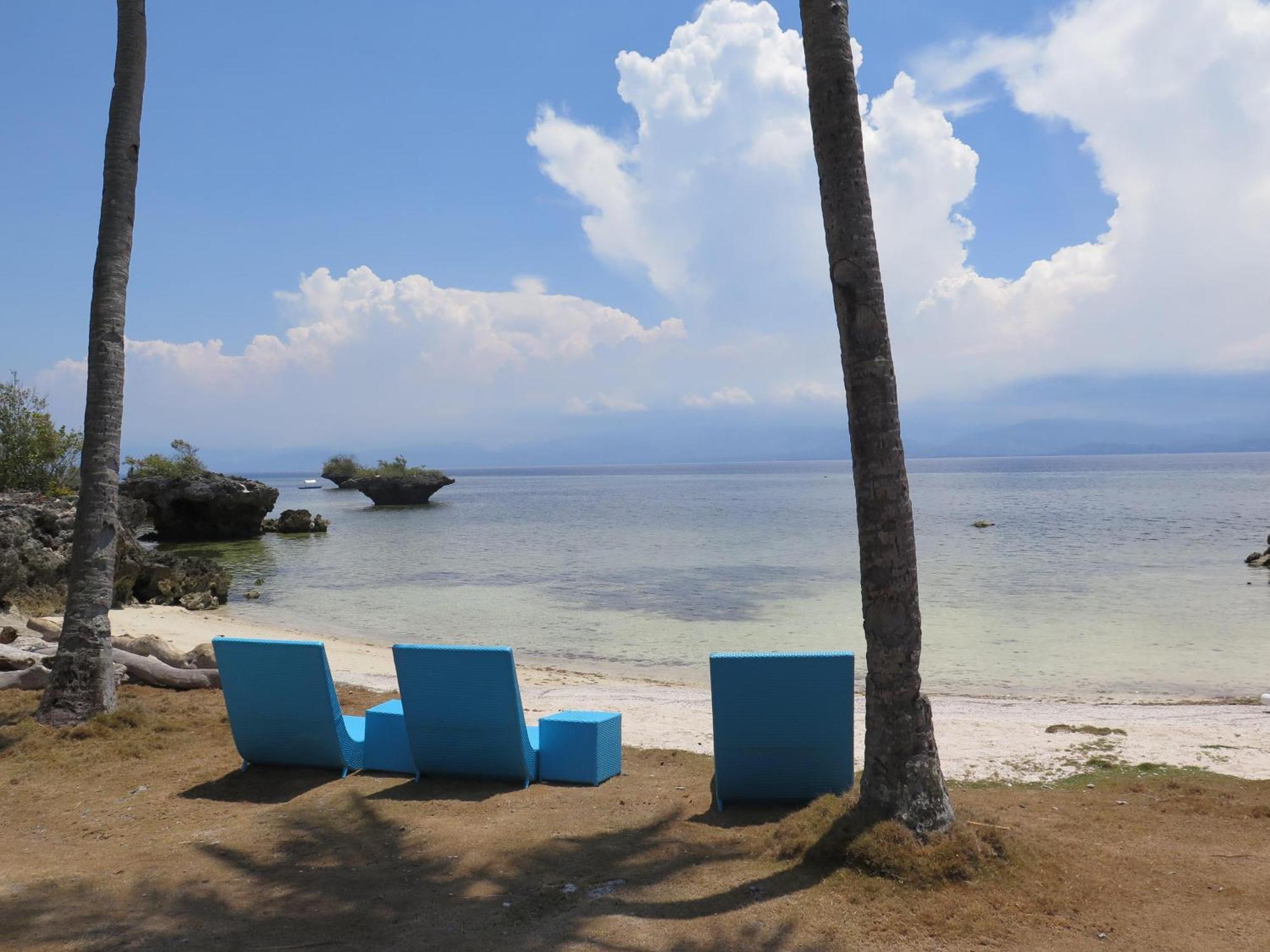 The Wild Orchid - Moalboal