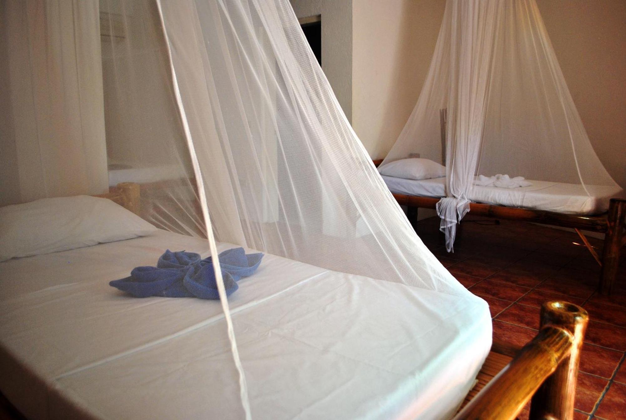 The Blue Orchid 4*