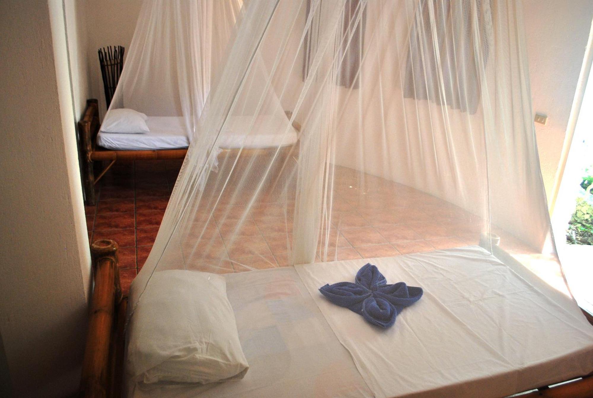 Resort The Blue Orchid Moalboal