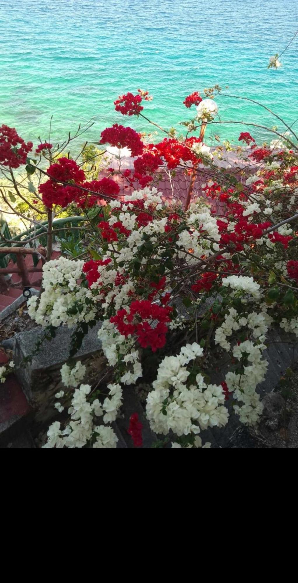 Sandra's House * Oslob