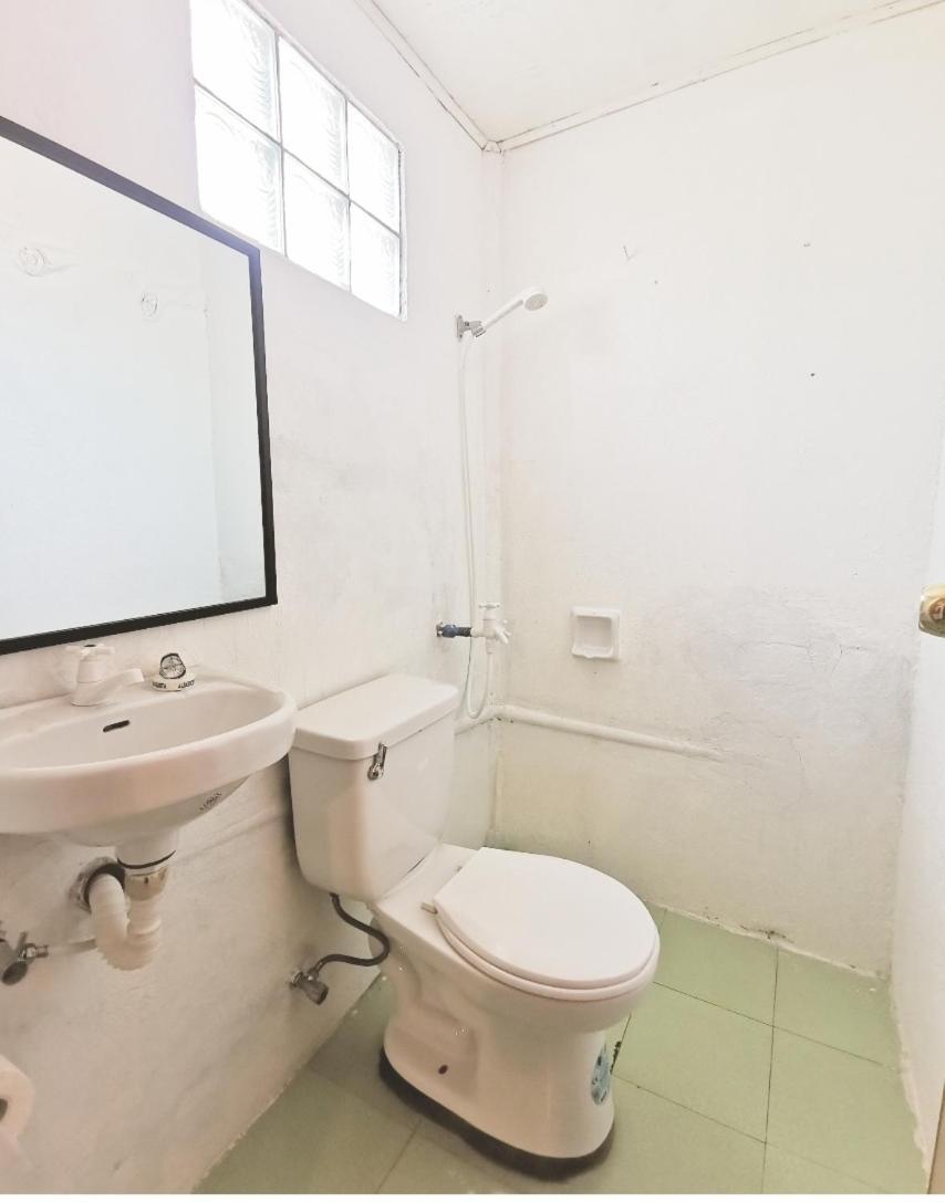 Albergue Seaside Malapascua