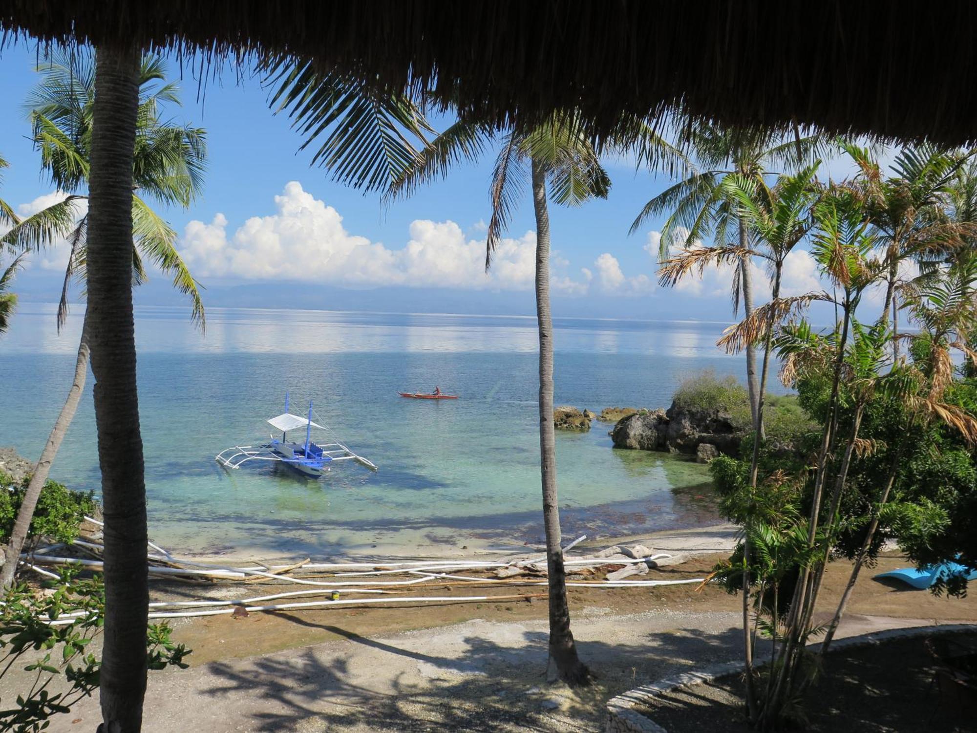 The Wild Orchid - Moalboal
